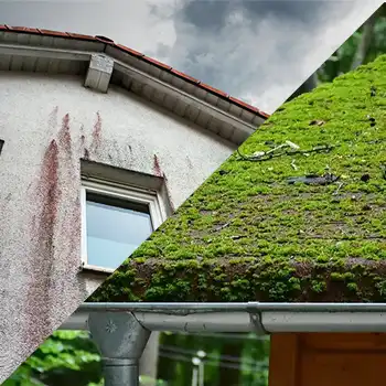 traitement-anti-mousse-facade-et-toiture